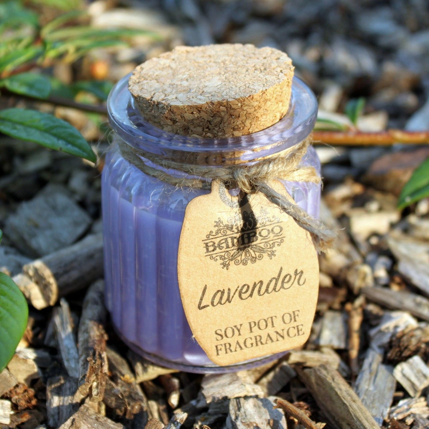 Soy Pot of Fragrance Candles - Lavender