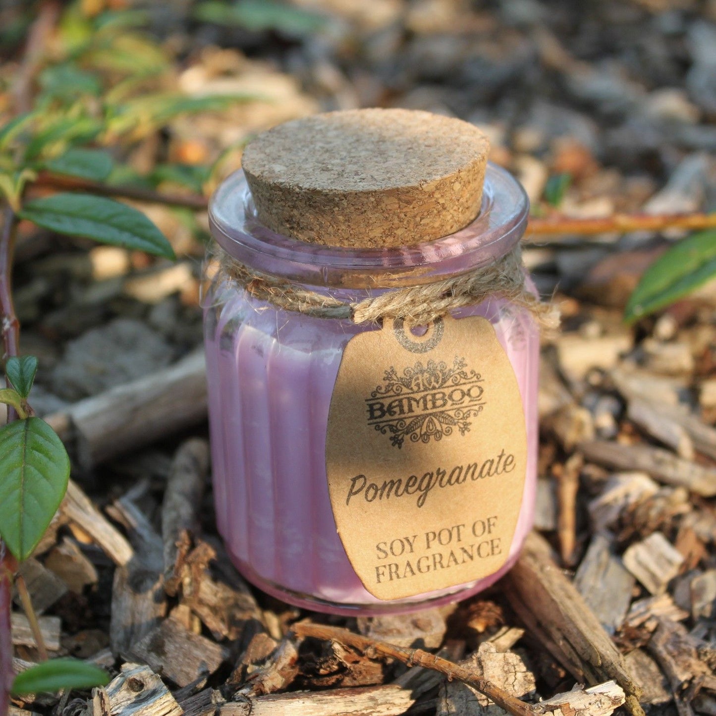 Soy Pot of Fragrance Candles - Pomegranate