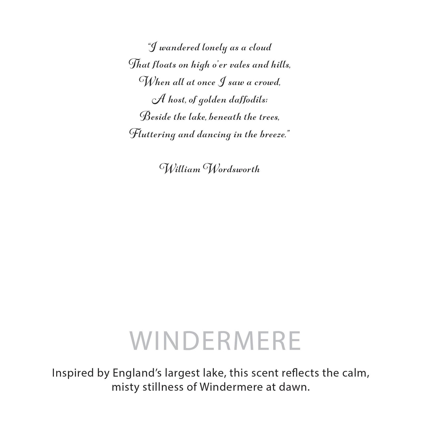 Agnes  & Cat Botanical Soy Wax Candle - Windermere