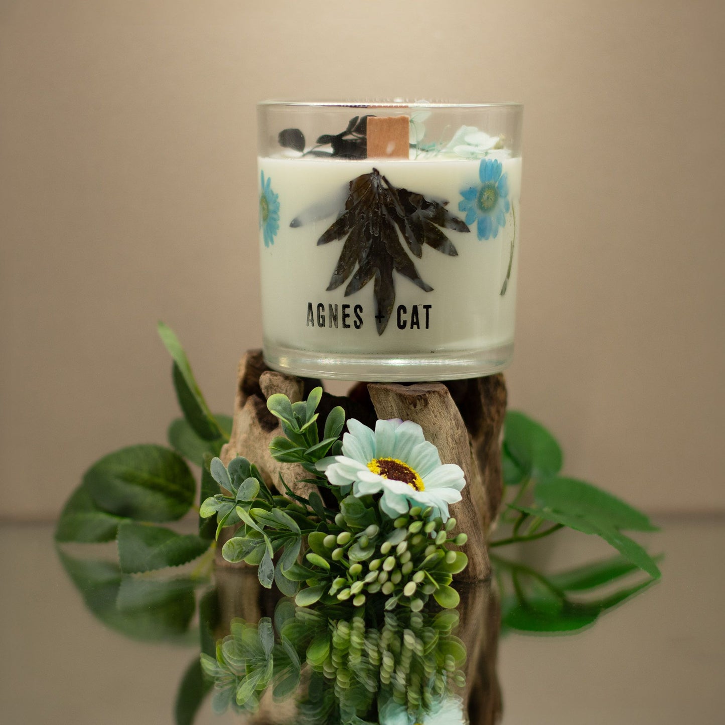 Agnes  & Cat Botanical Soy Wax Candle - Seasalt & Moss