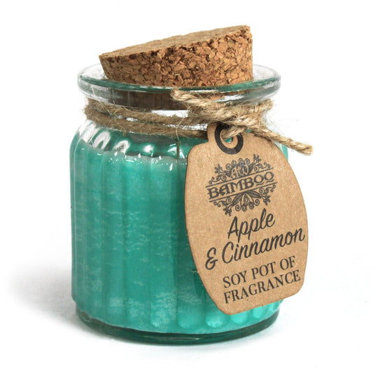 Soy Pot of Fragrance Candles - Apple & Cinnamon