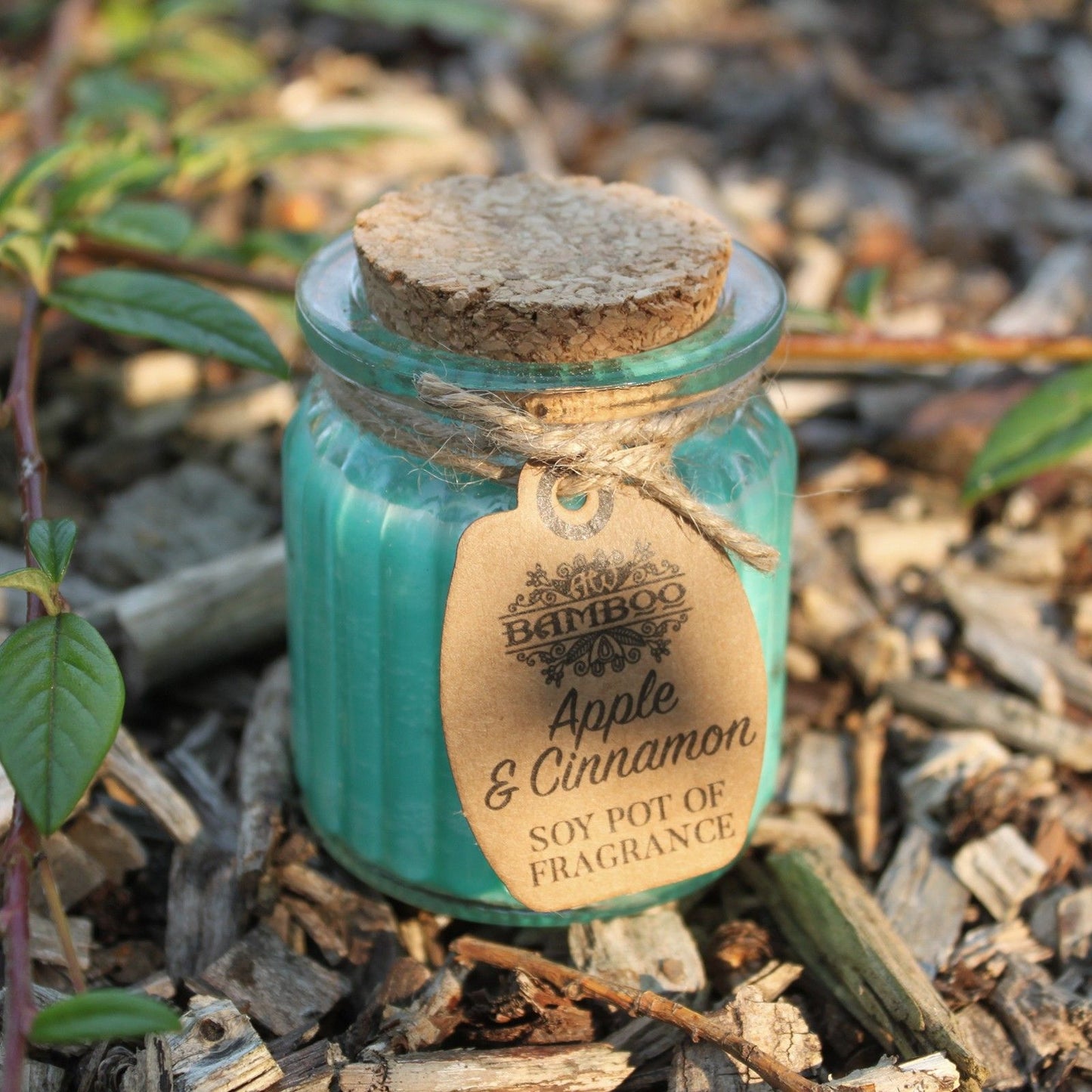 Soy Pot of Fragrance Candles - Apple & Cinnamon