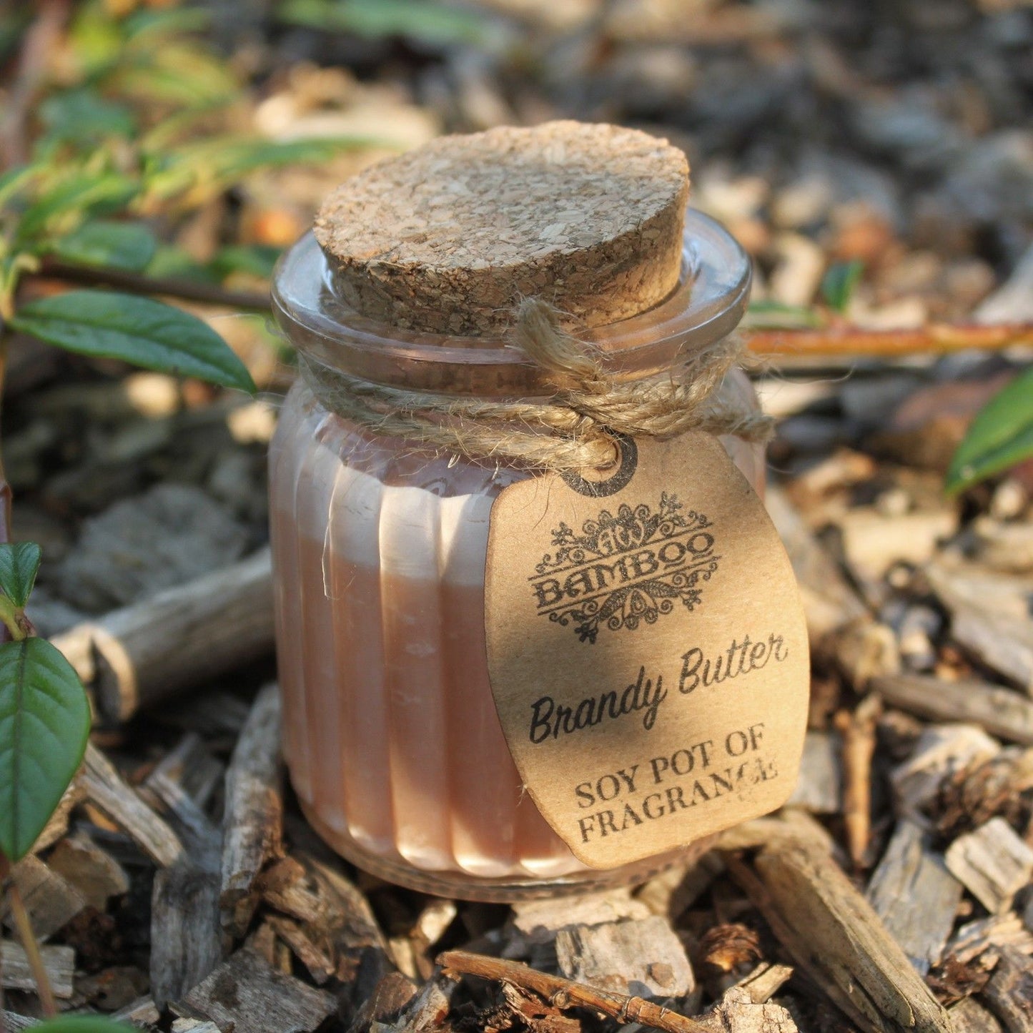 Soy Pot of Fragrance Candles - Brandy Butter
