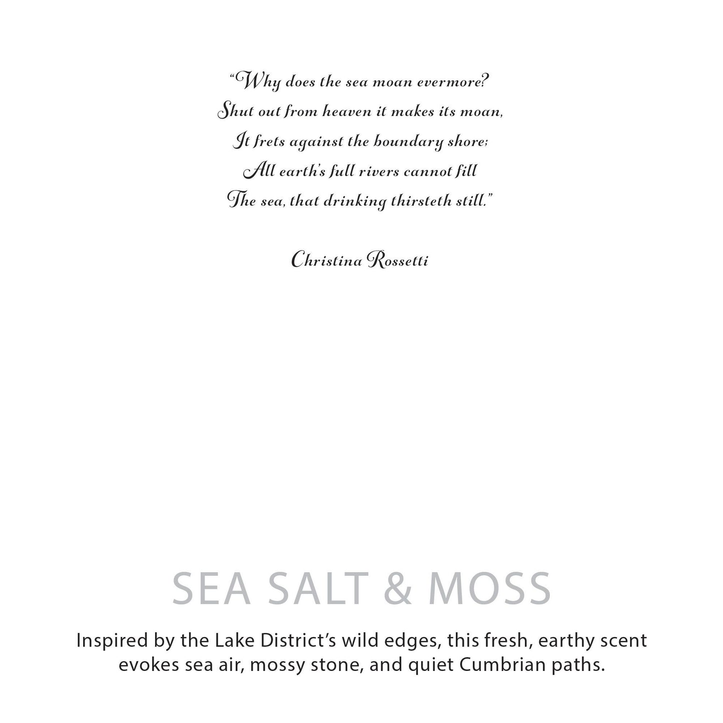 Agnes  & Cat Botanical Soy Wax Candle - Seasalt & Moss