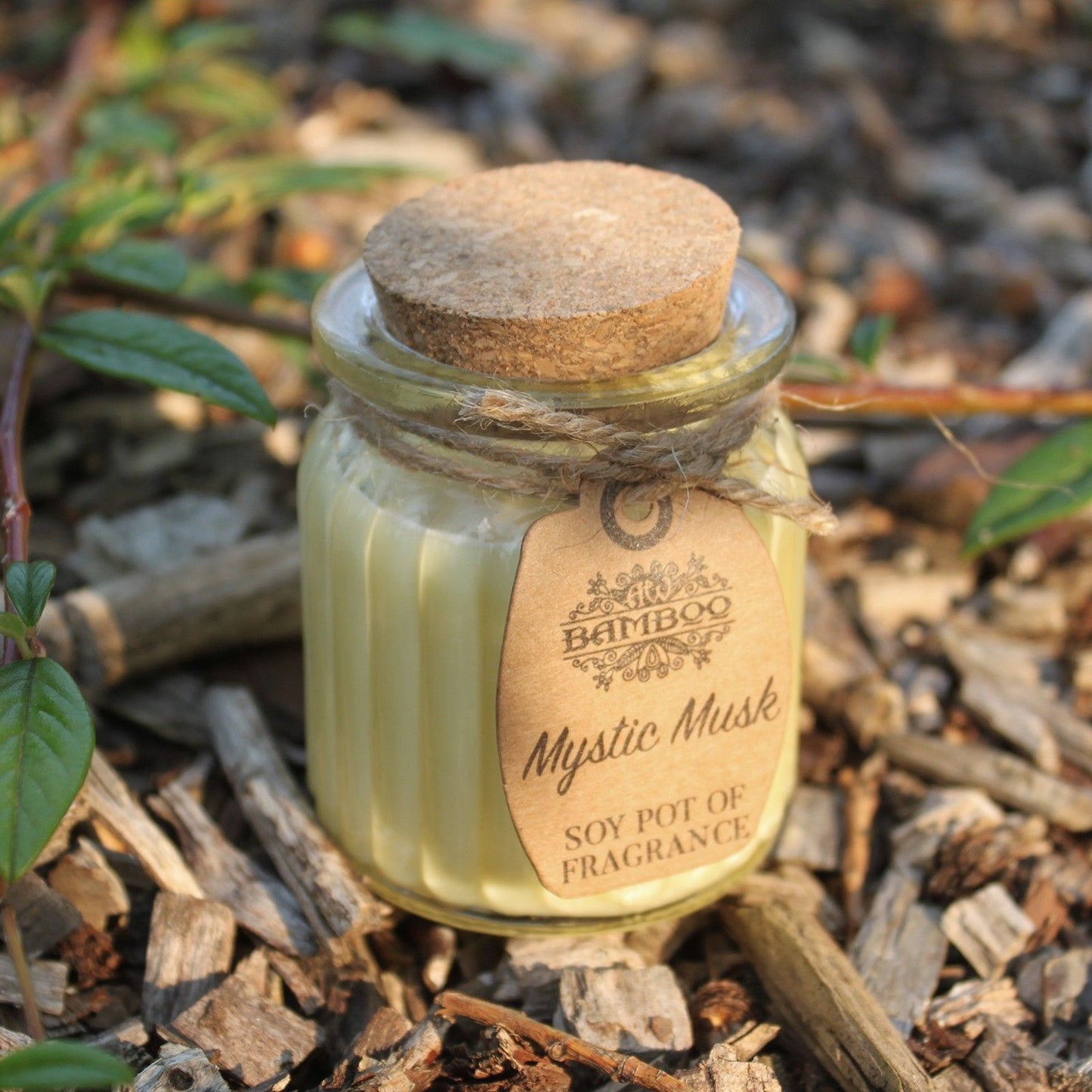 Soy Pot of Fragrance Candles - Mystic Musk