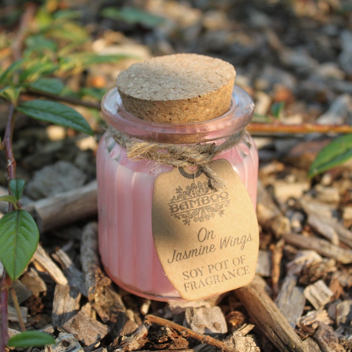 Soy Pot of Fragrance Candles - On Jasmine Wings