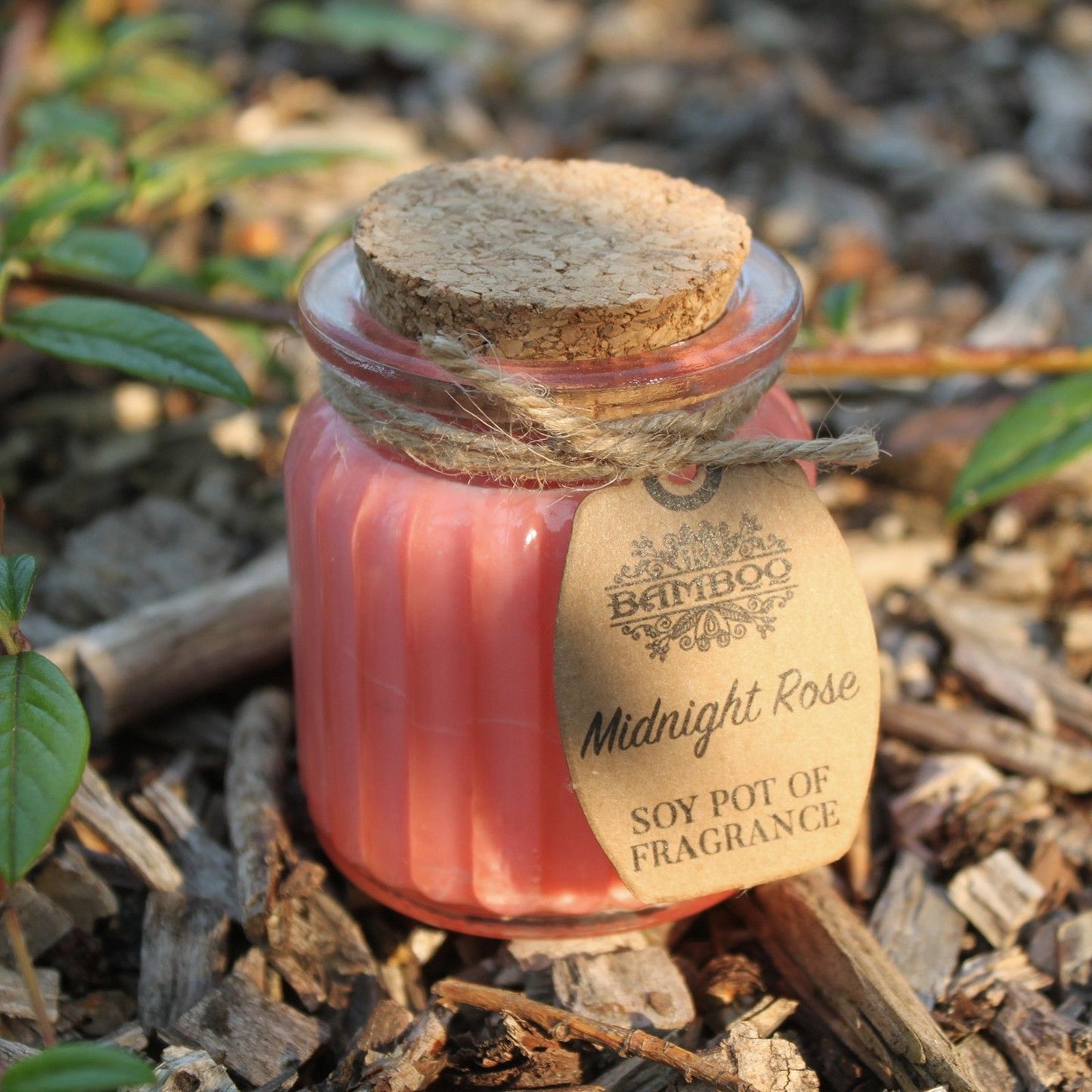 Soy Pot of Fragrance Candles - Midnight Rose